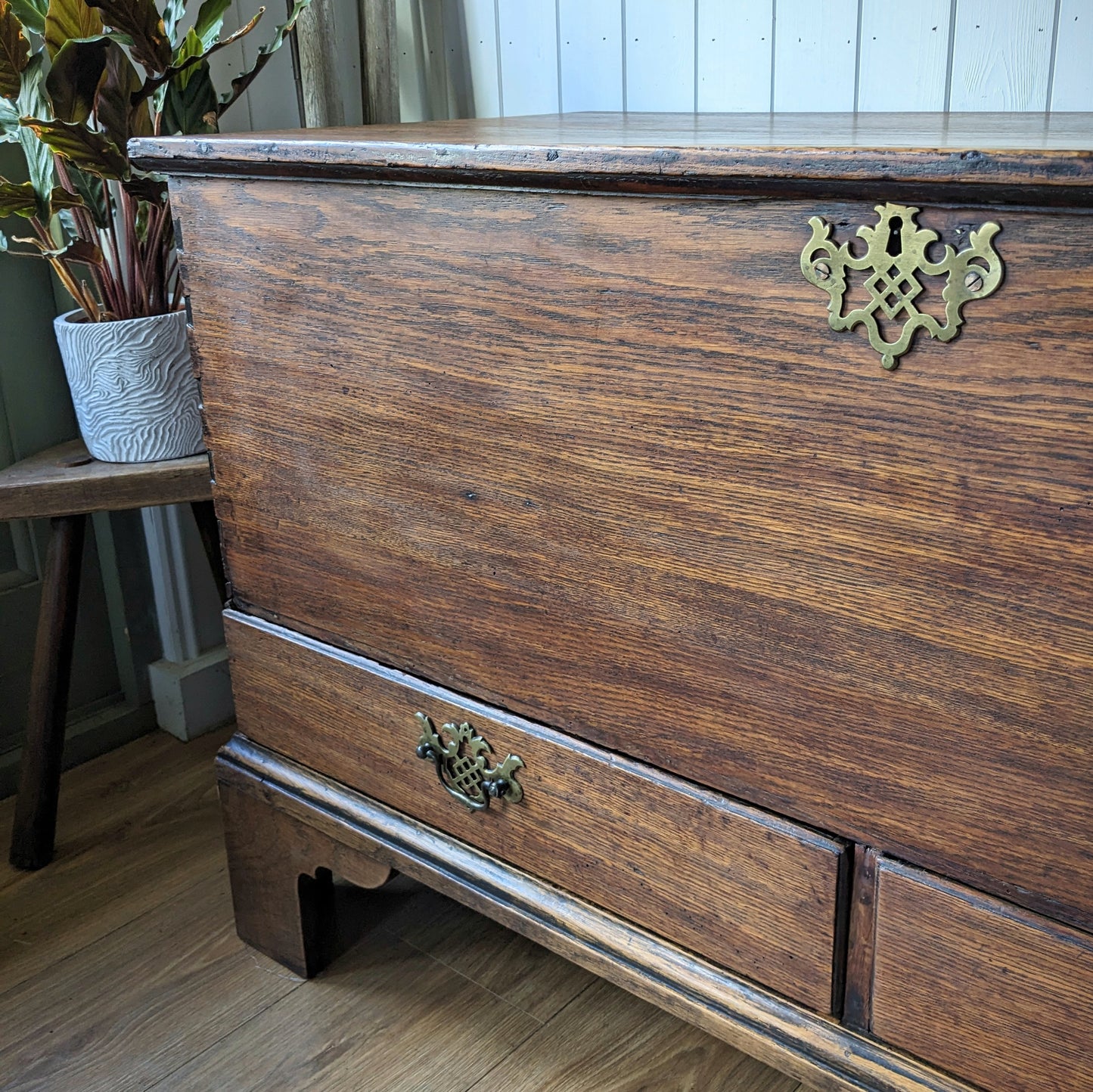 Georgian Oak Mule Chest