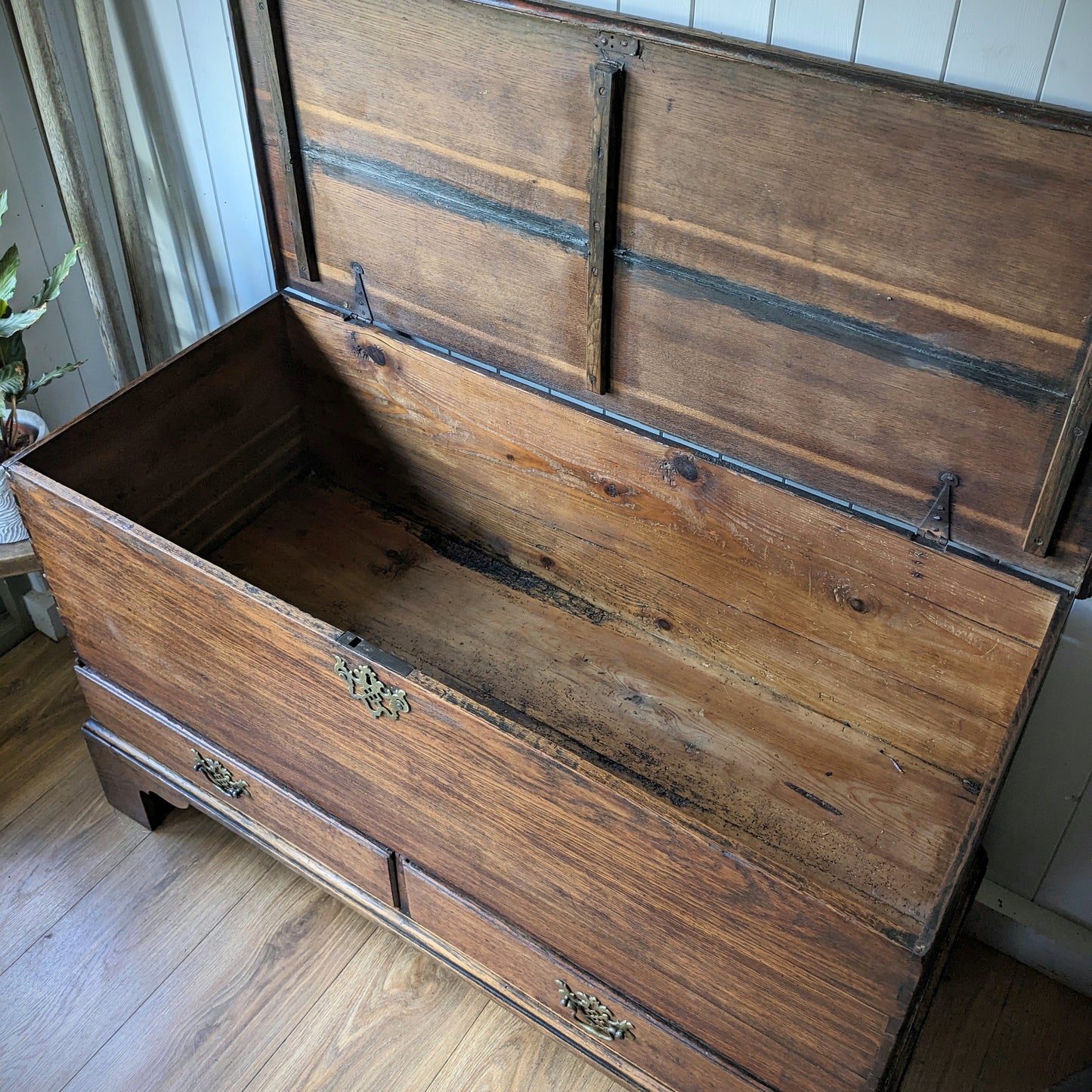 Georgian Oak Mule Chest