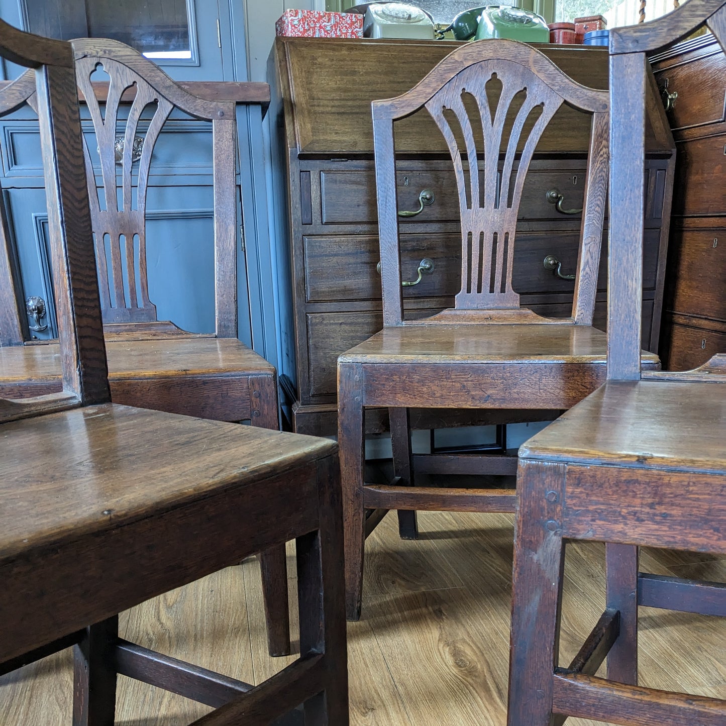 Four Georgian Oak Country Chairs