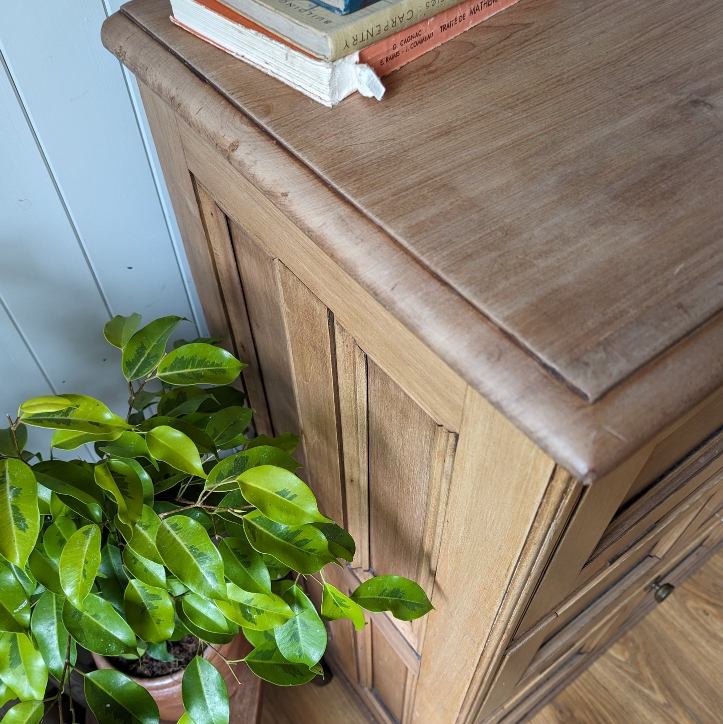 Large Antique Pine Cupboard