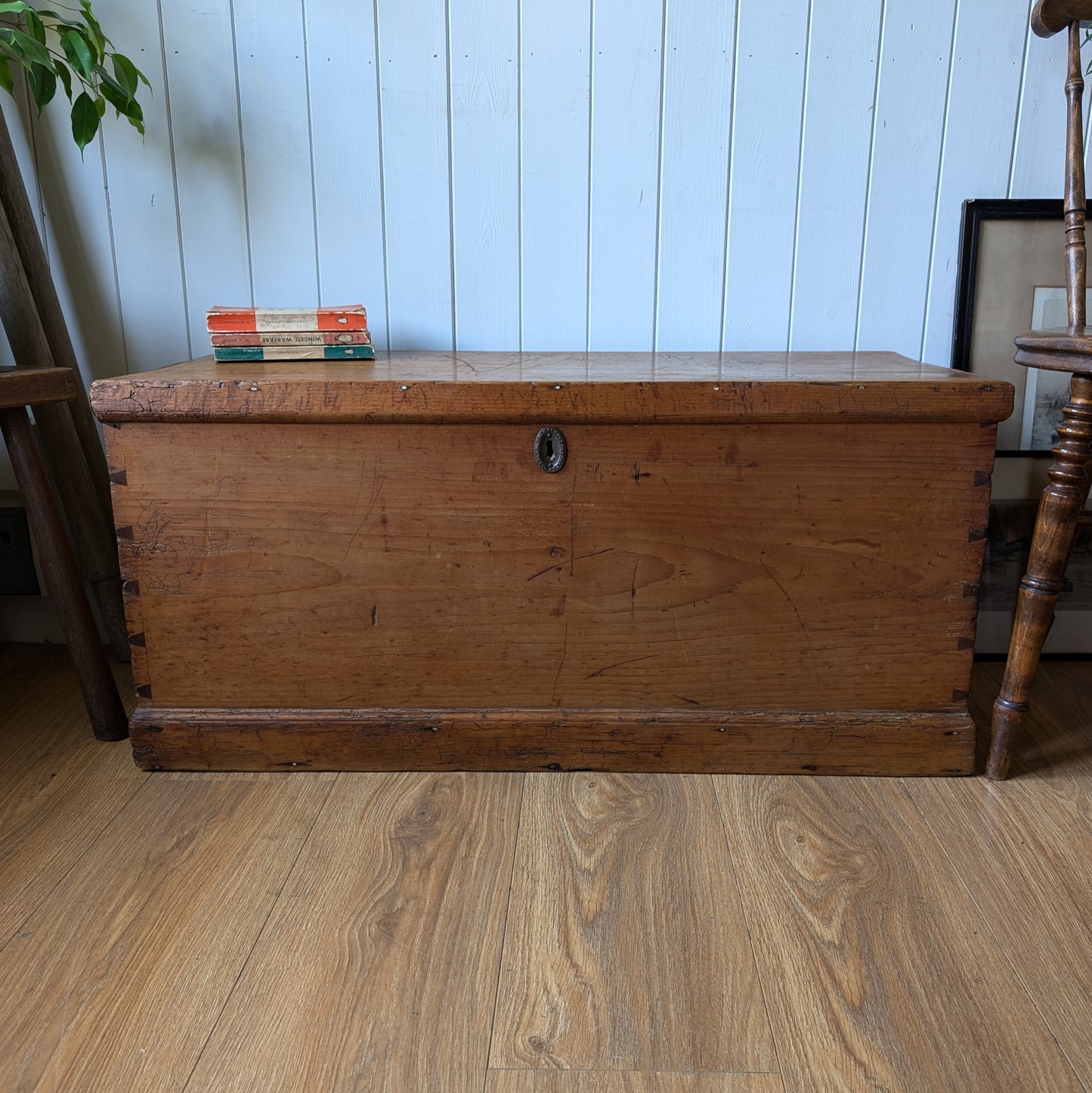 Victorian Pine Trunk