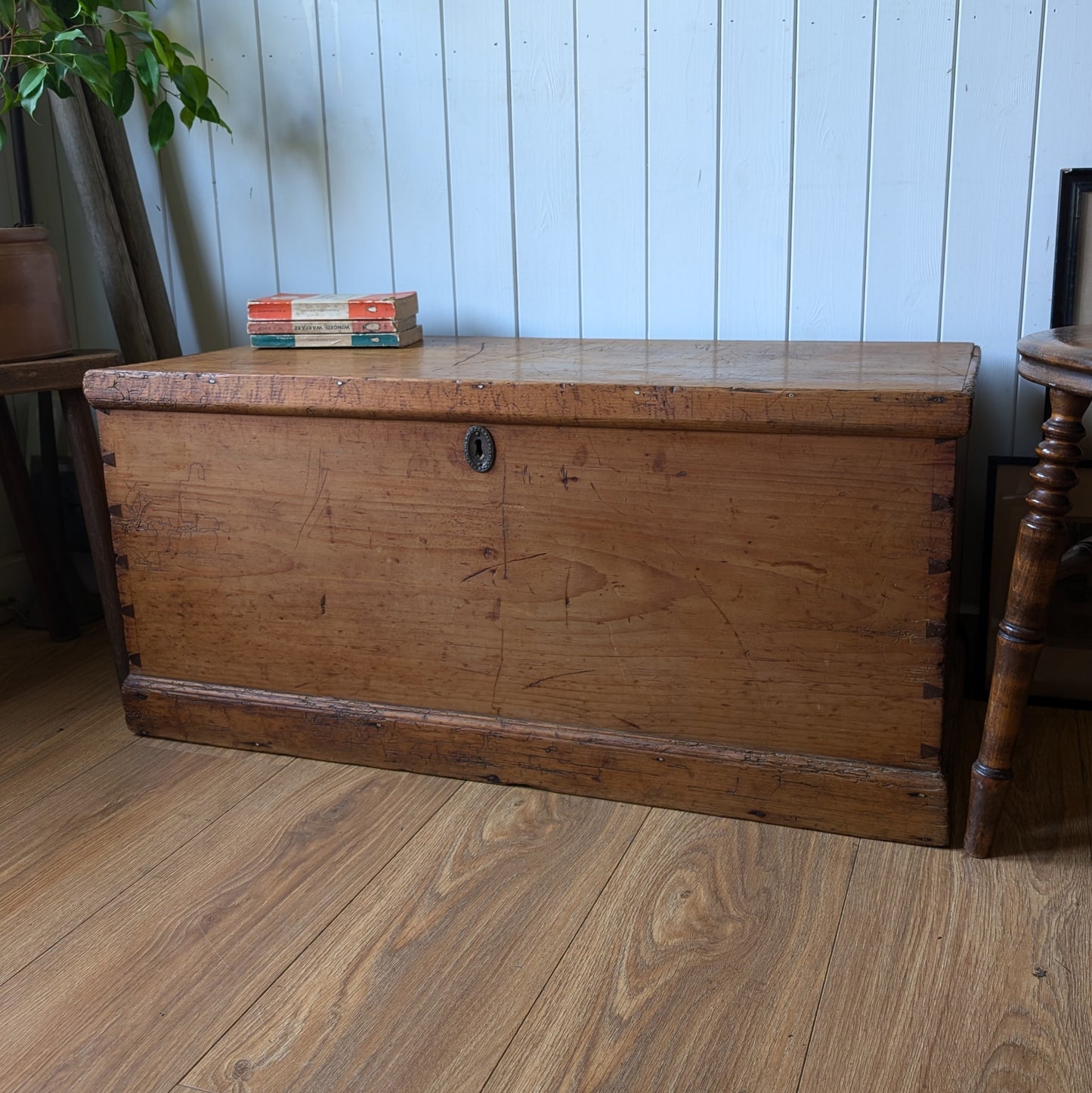 Victorian Pine Trunk