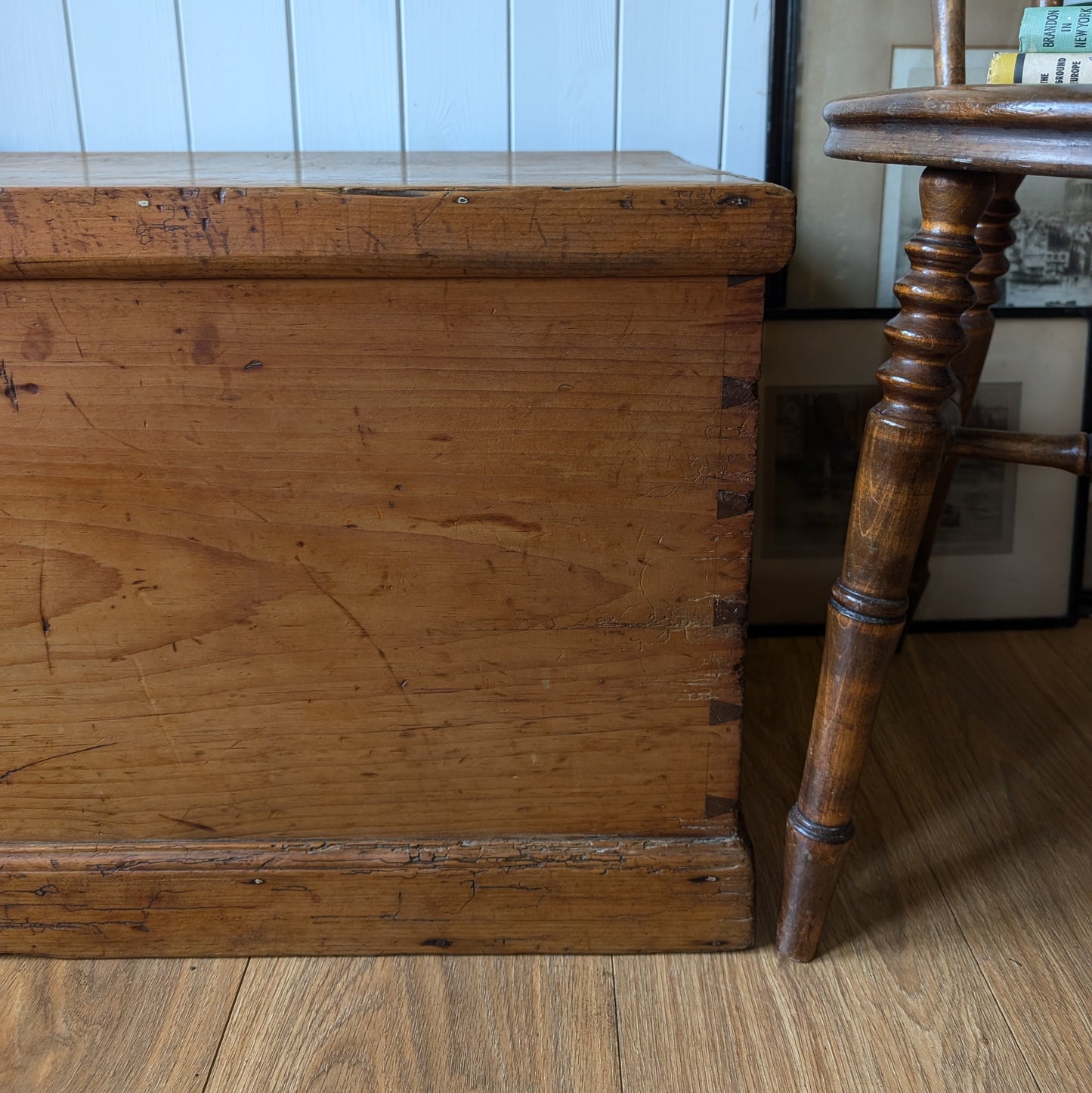 Victorian Pine Trunk