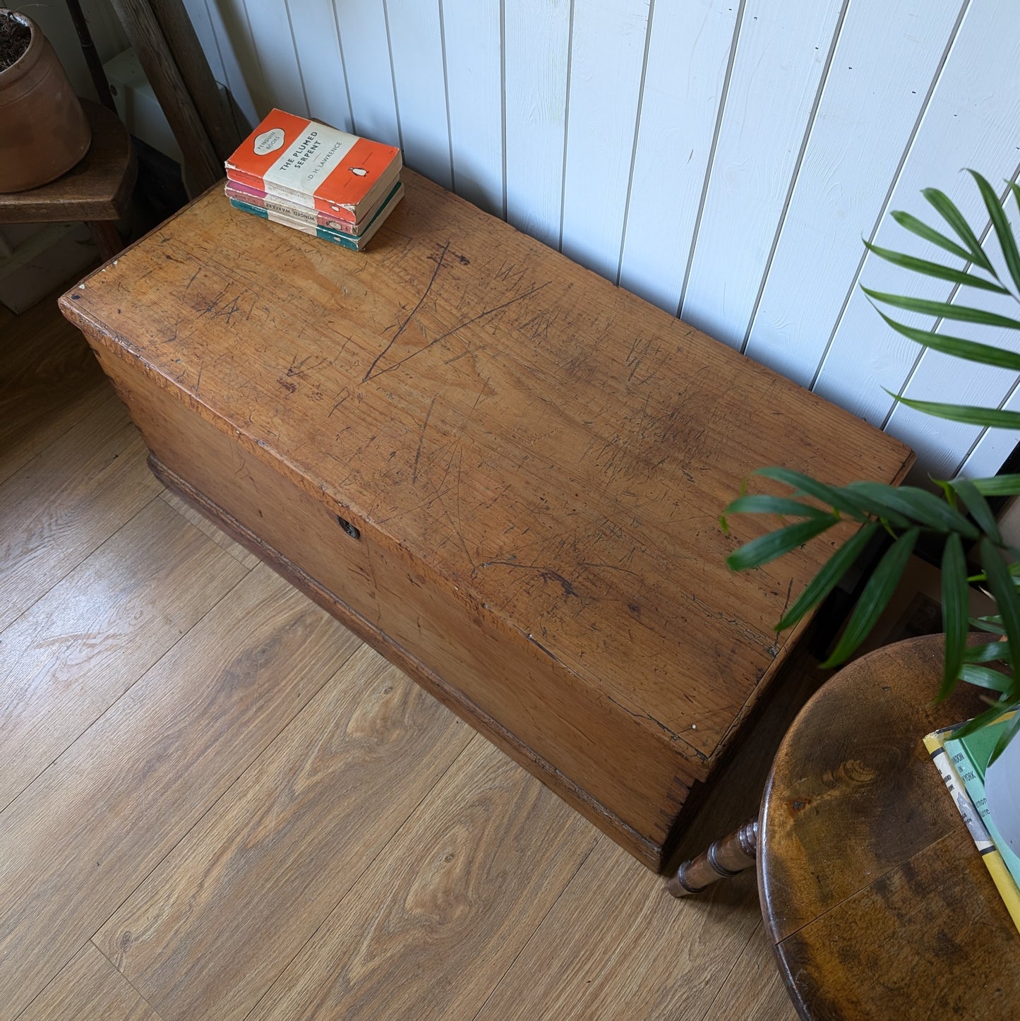 Victorian Pine Trunk