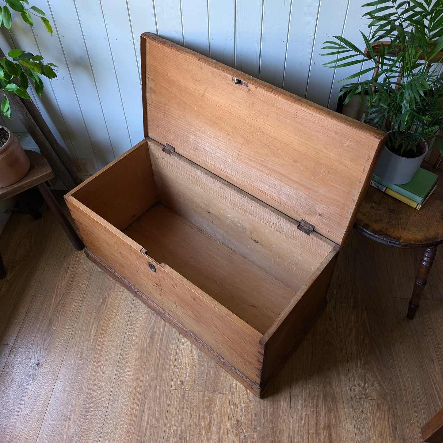 Victorian Pine Trunk