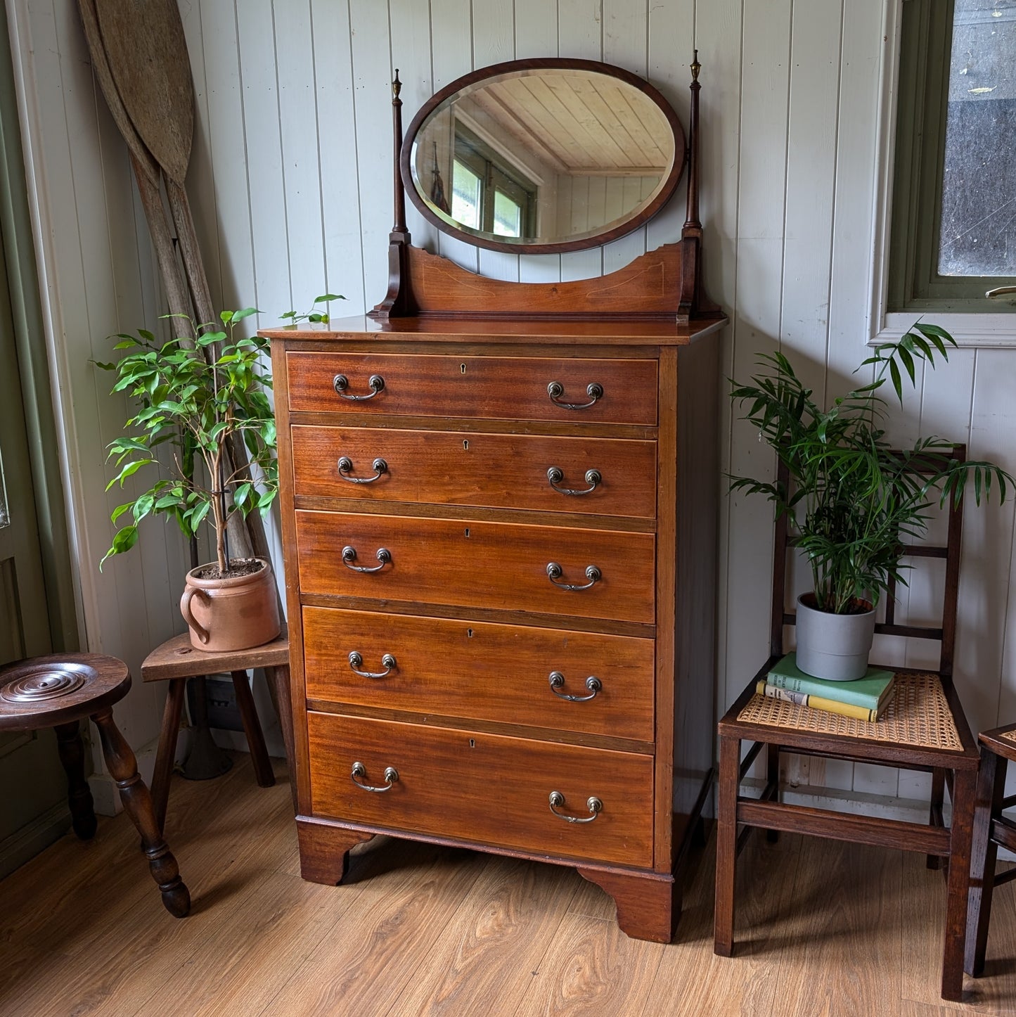 Maple and Co Antique Chest of Drawers