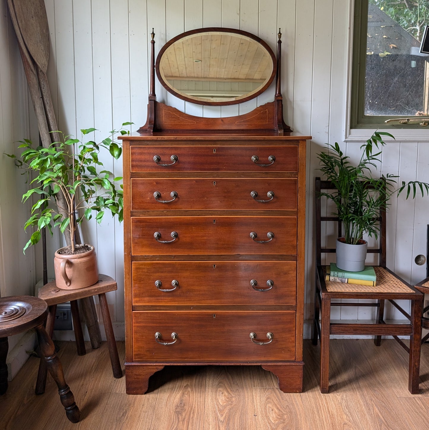 Maple and Co Antique Chest of Drawers