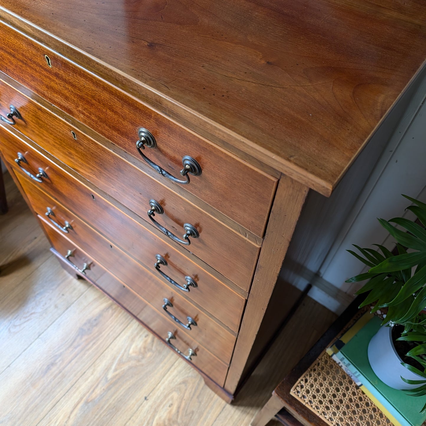 Maple and Co Antique Chest of Drawers