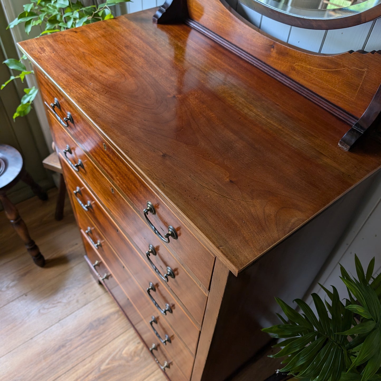 Maple and Co Antique Chest of Drawers