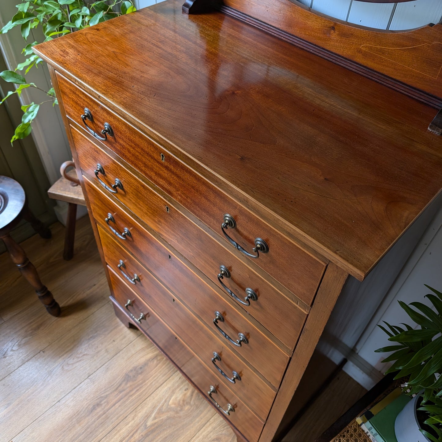 Maple and Co Antique Chest of Drawers