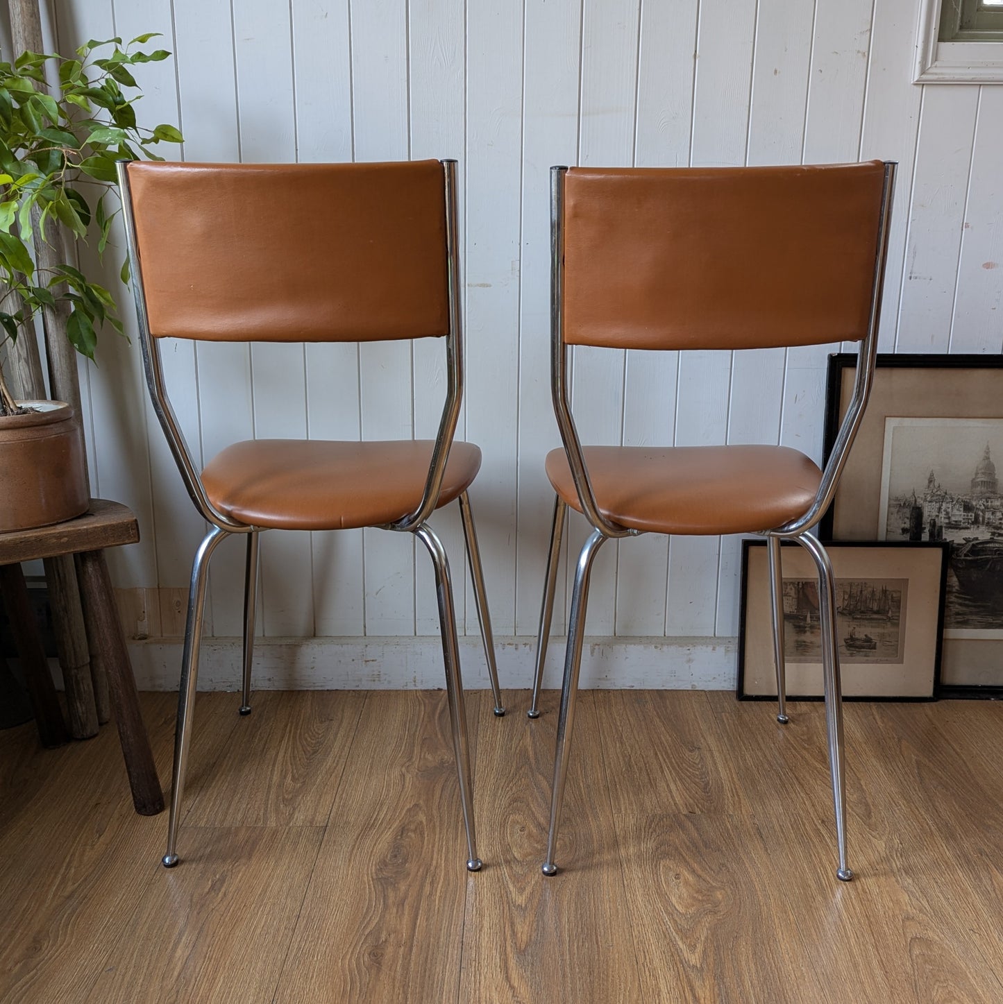 Mid Century Dining Chairs