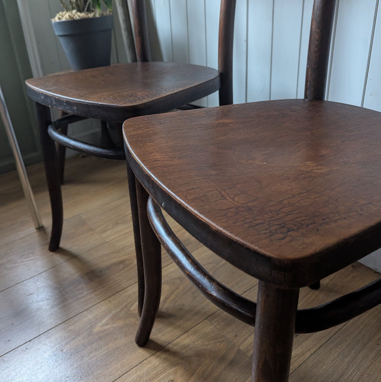 Pair of Antique Bentwood "Moc Croc" Bistro Chairs.