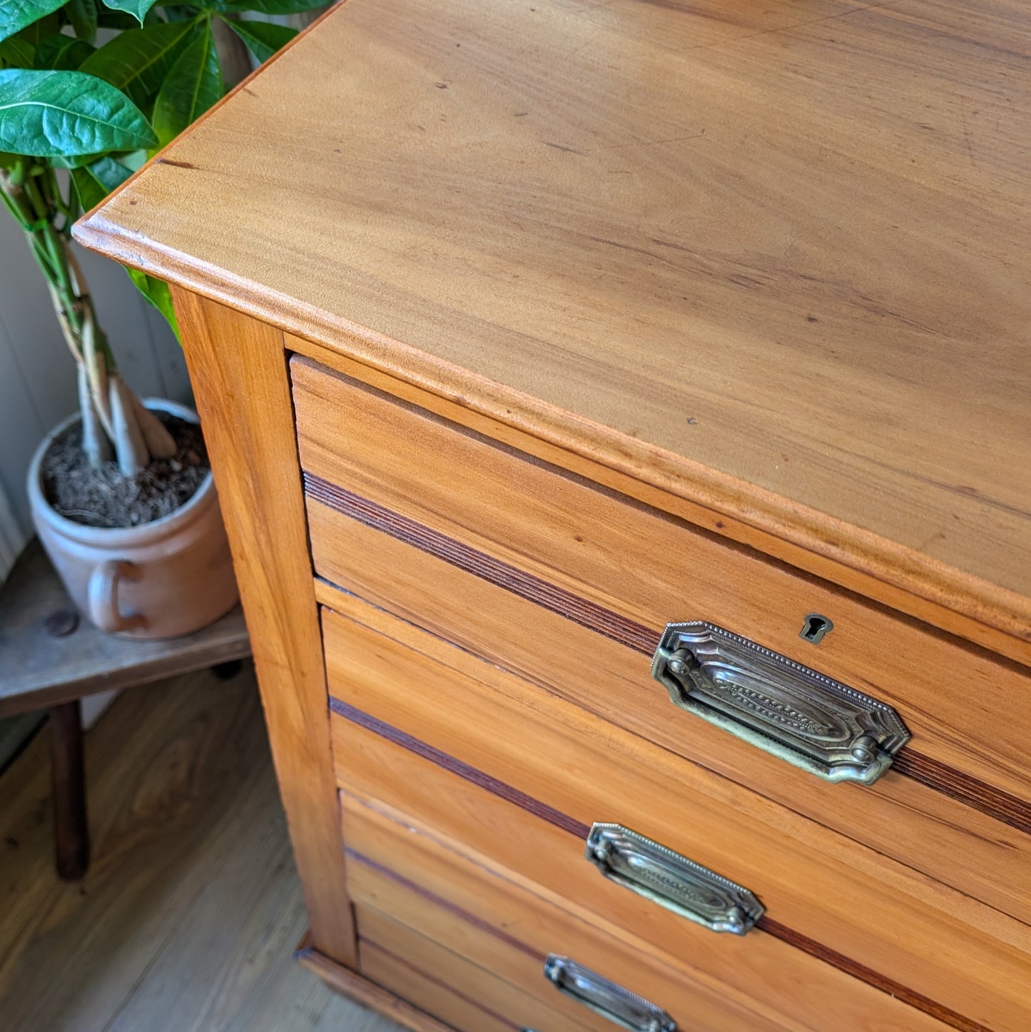 Satin Walnut Antique Chest of Drawers