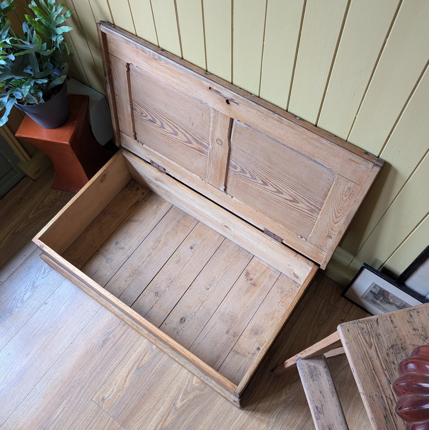 Low Antique Pine Trunk