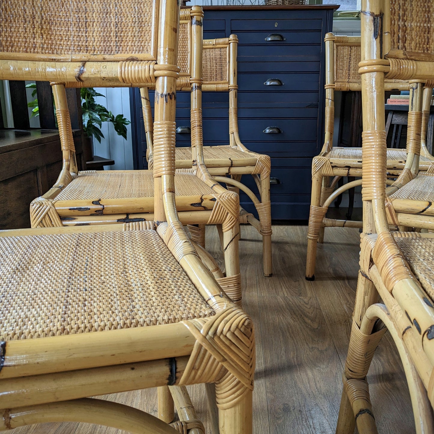 Mid Century Bamboo Dining Chairs