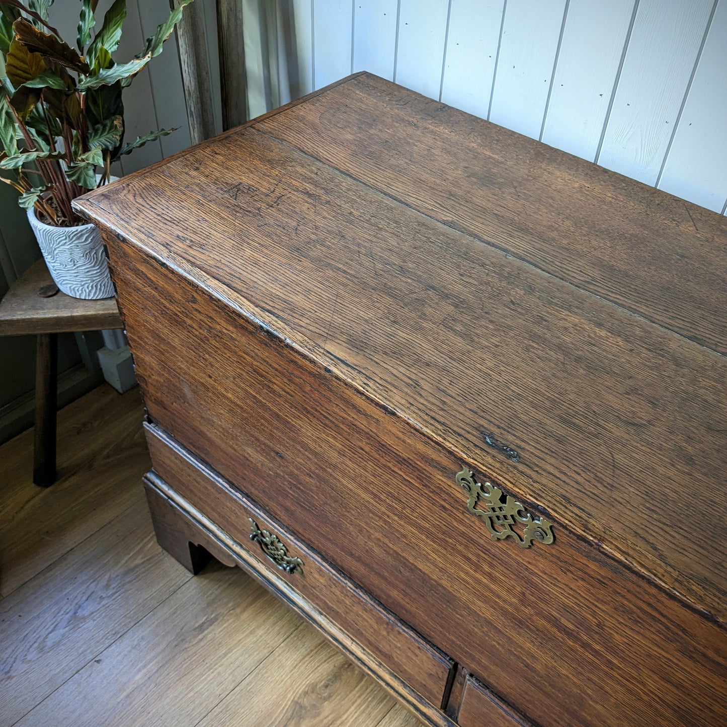 Georgian Oak Mule Chest