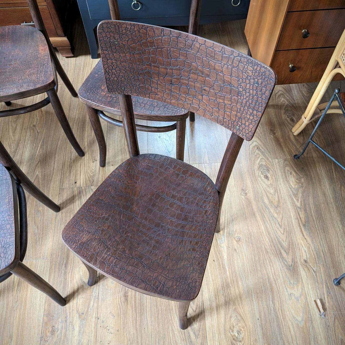 Antique "Moc Croc" Bentwood Chairs