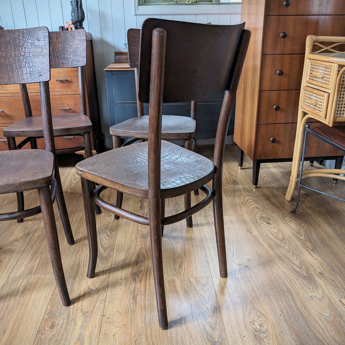 Antique "Moc Croc" Bentwood Chairs