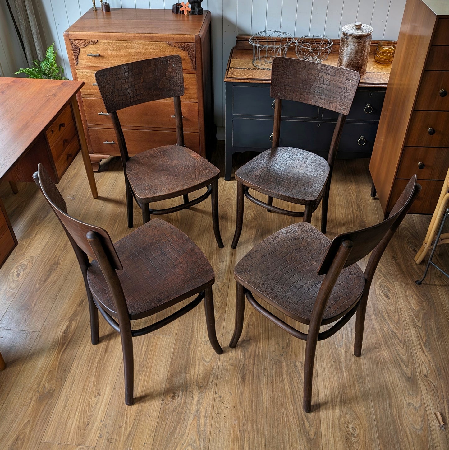 Antique "Moc Croc" Bentwood Chairs