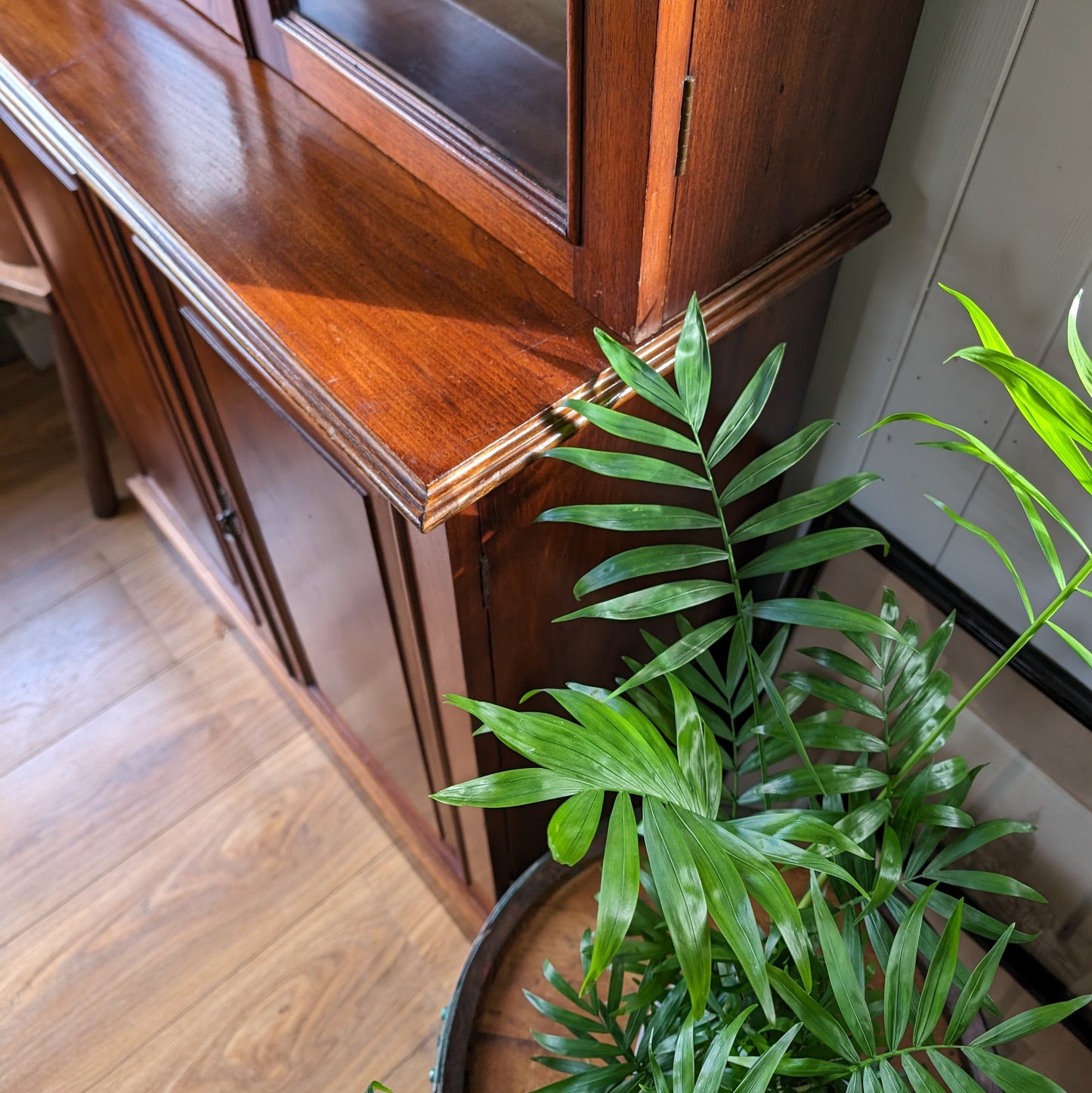 Antique Glazed Bookcase