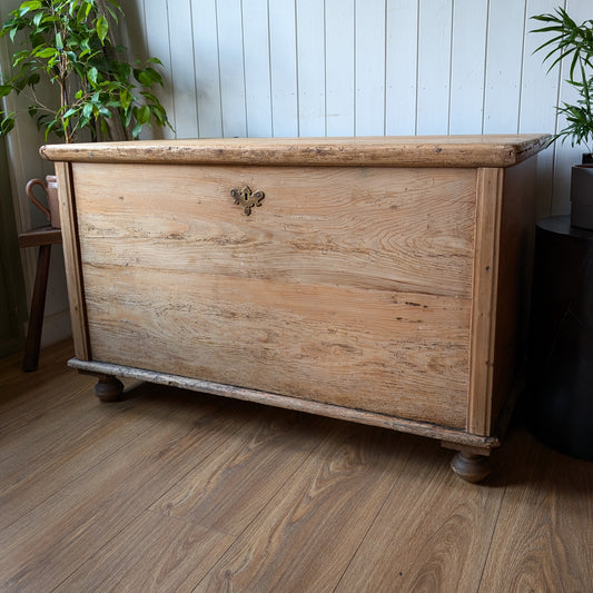 Rustic Victorian Trunk
