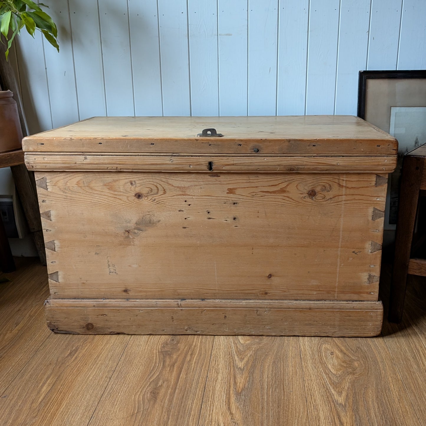 Victorian Pine Trunk