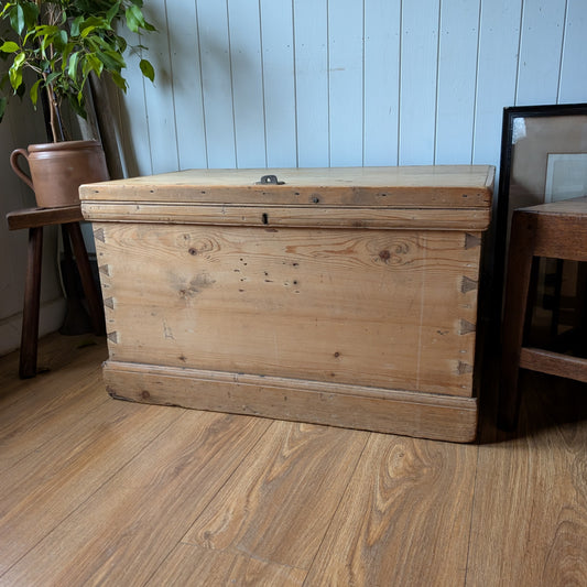 Victorian Pine Trunk