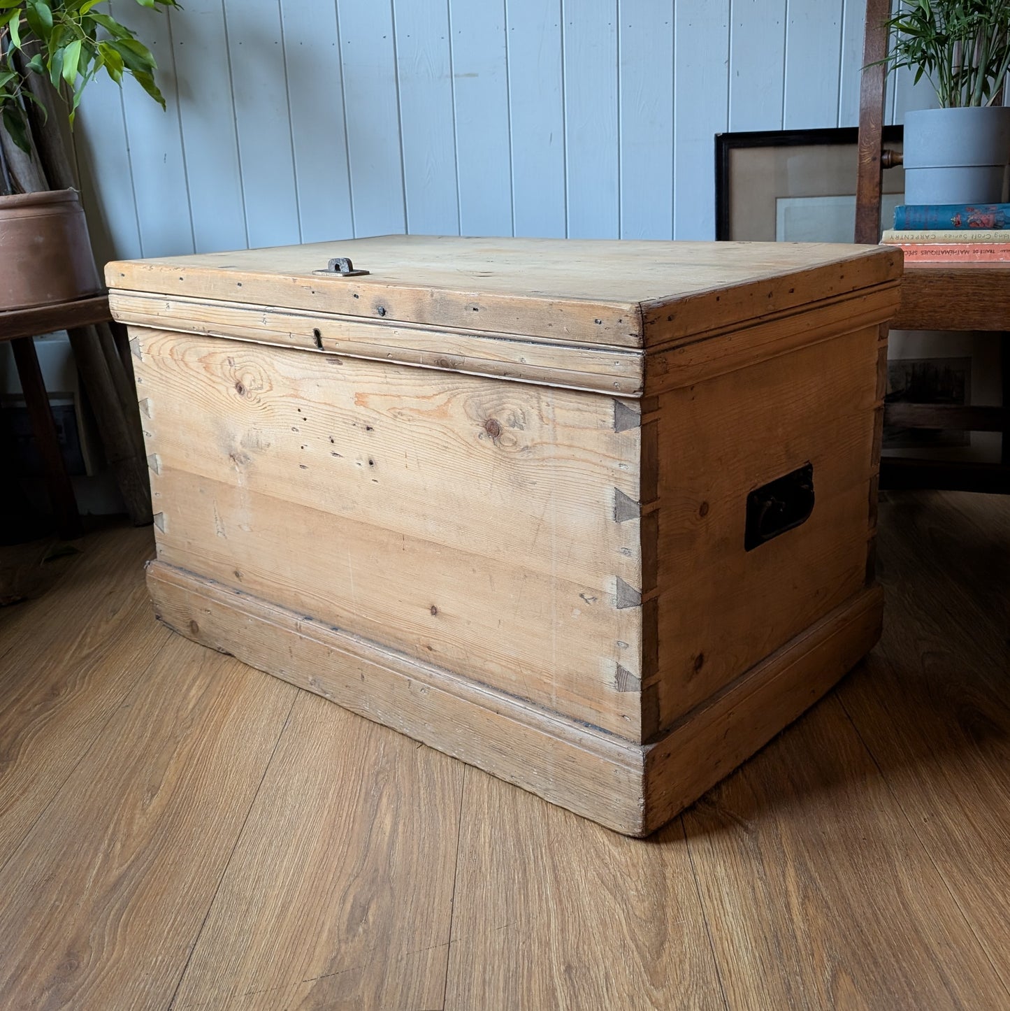 Victorian Pine Trunk