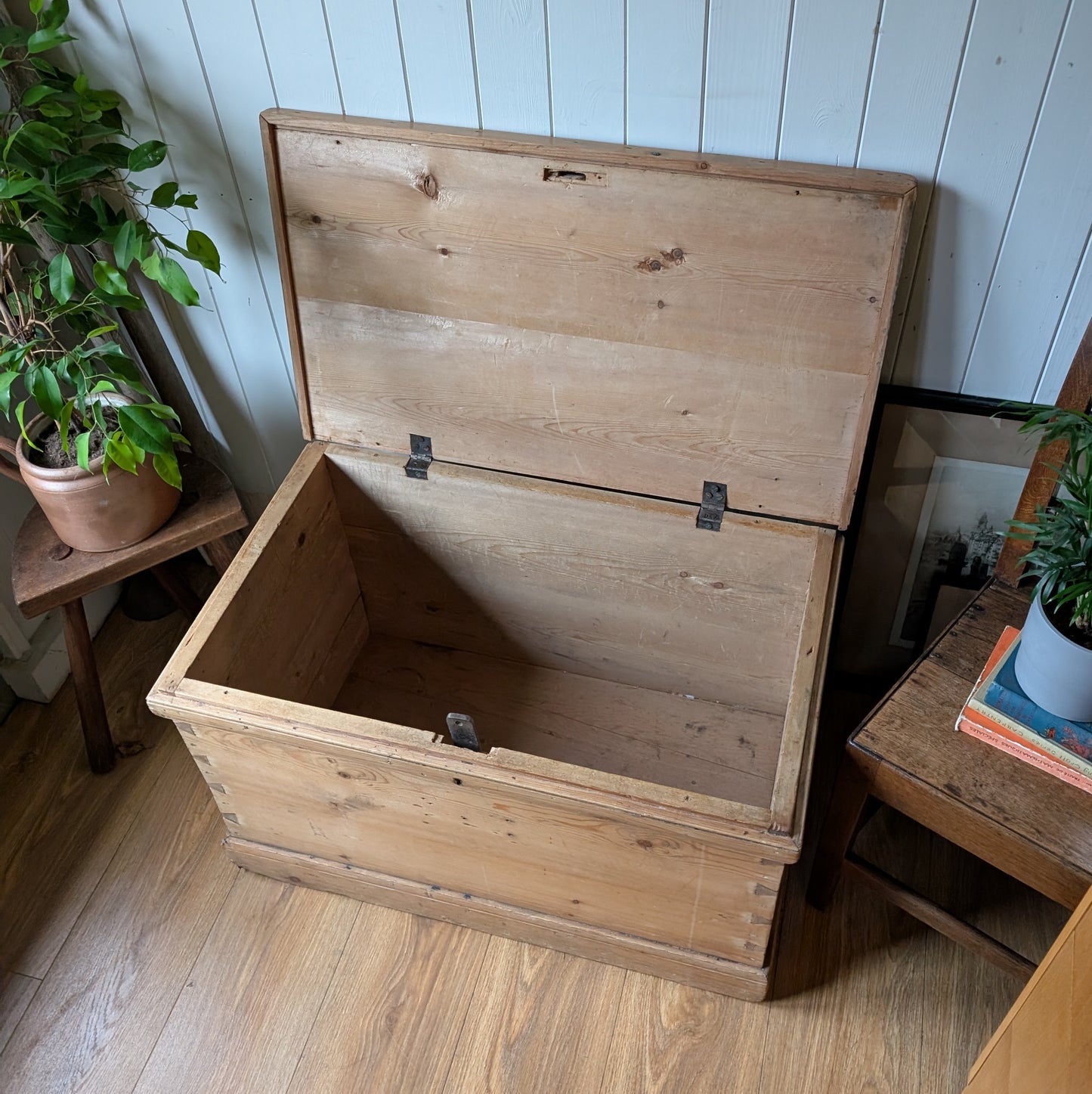 Victorian Pine Trunk