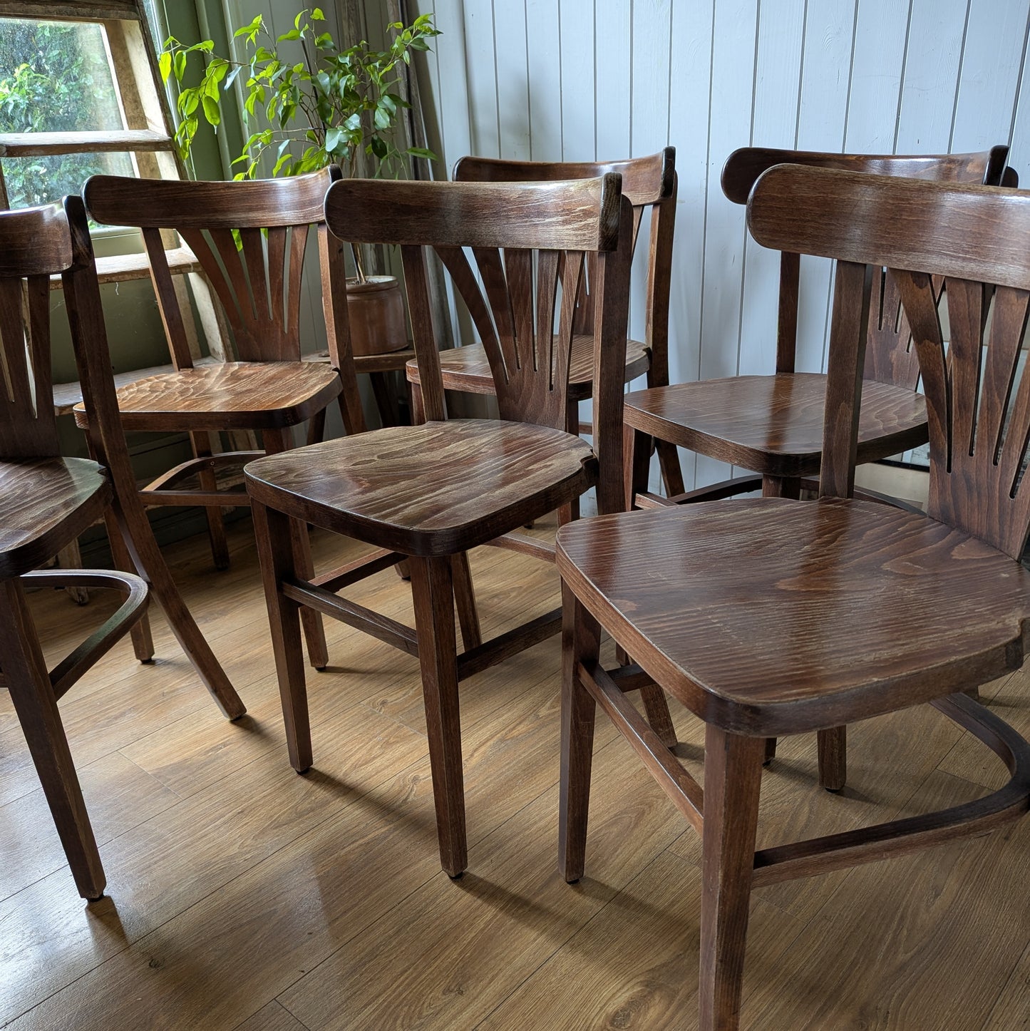 Six Vintage Belgian Bistro Chairs