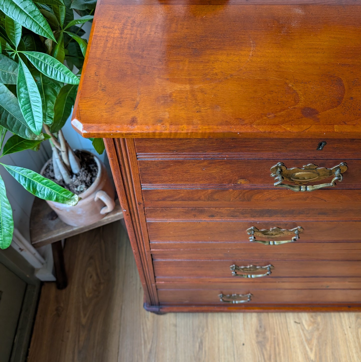 Antique Walnut Chest of Drawers