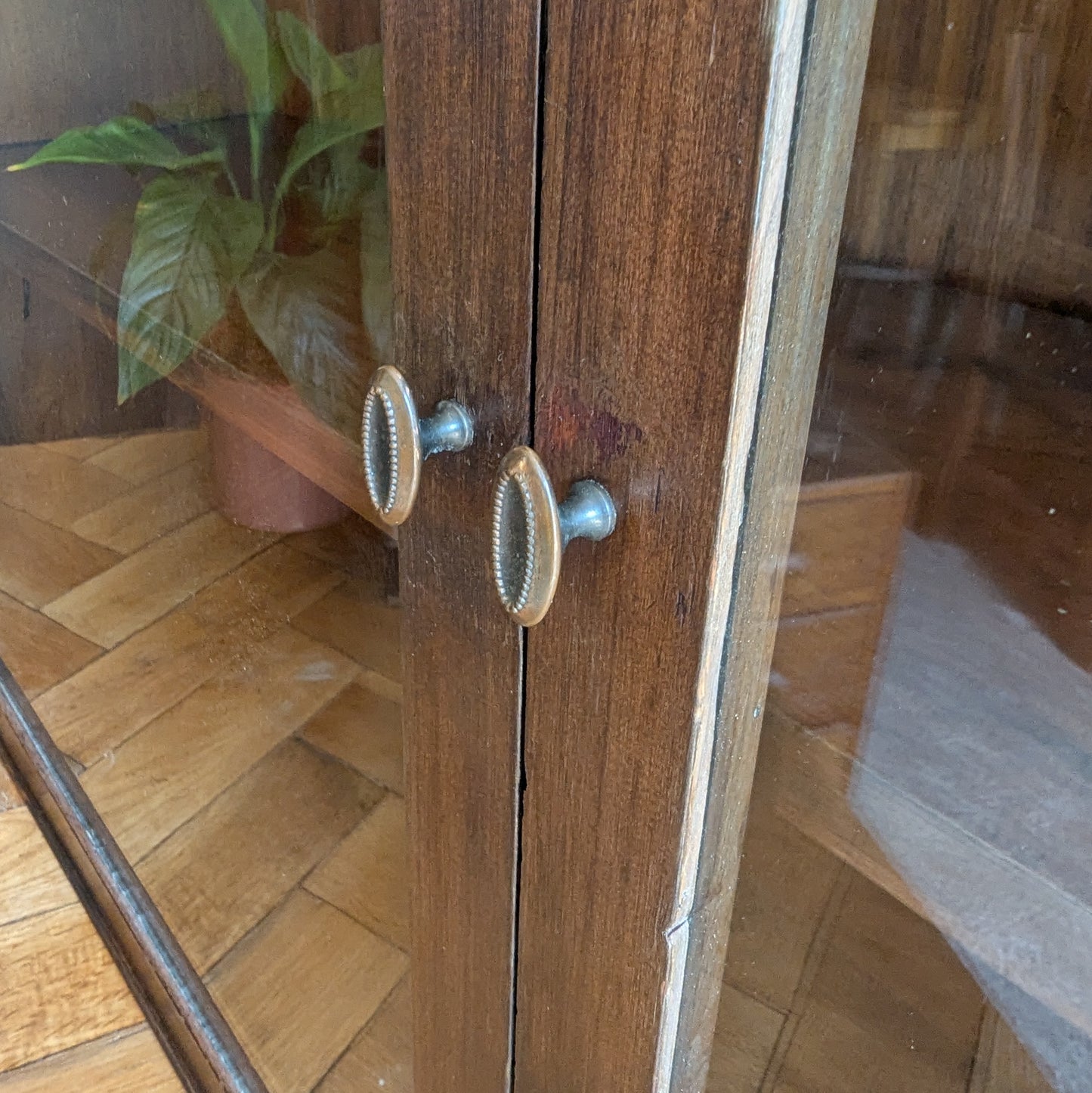 Antique Countertop Shop Display