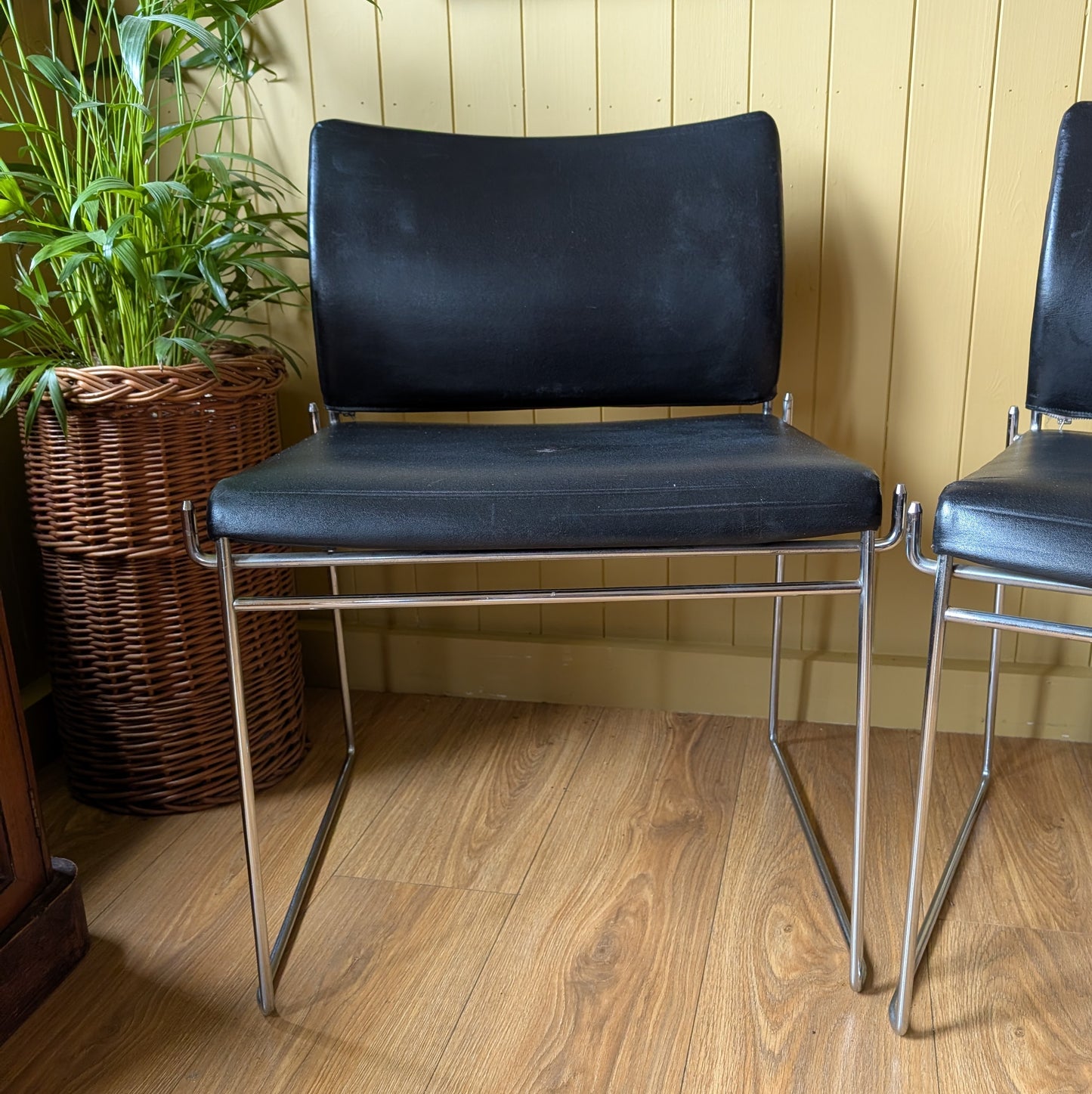 Pair of Mid Century "Jano" Chairs by Kazuhide Takahama