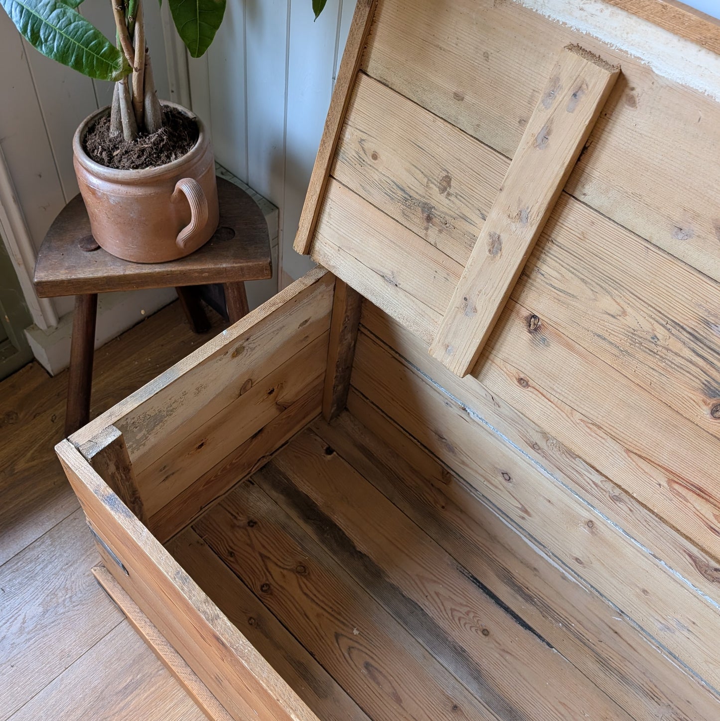 Vintage Pine Trunk